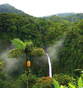 Costa rica biking trip photo